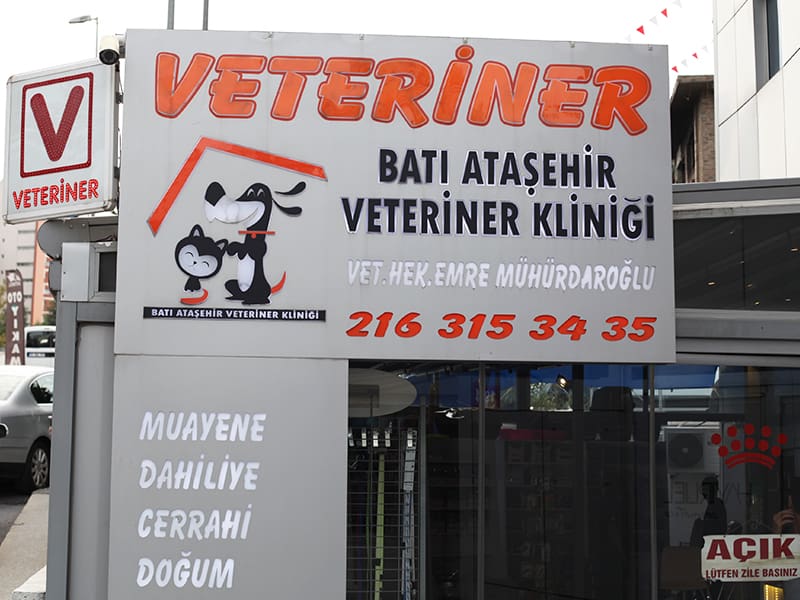Batı Ataşehir Veteriner Kliniği